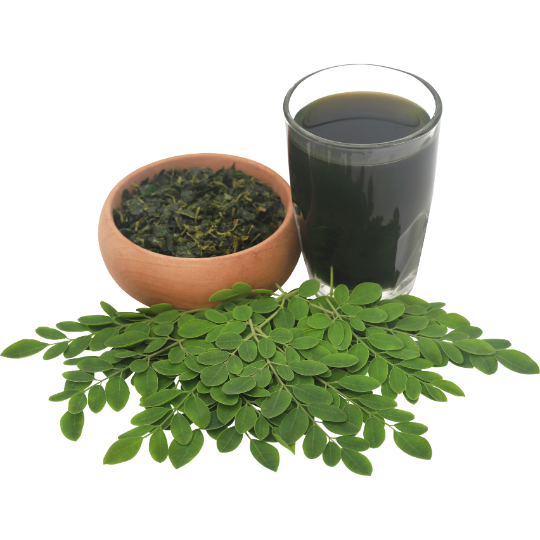 moringa poeder urban africa naturals